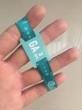 WTS/Jual Tiket/Gelang 3 Day Pass DWP 2024