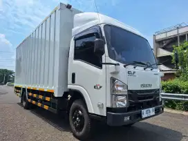 Isuzu Elf Nmr 81 Box Long 2024