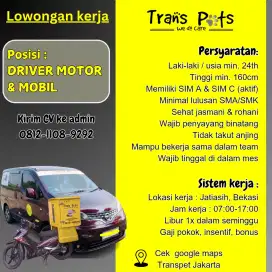 Lowongan Driver & Groomer Kucing+Catsitter