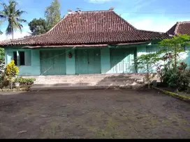 Rumah Limasan, Tanah luas, cocok utk homestay, penginapan