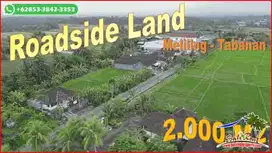 2,000 m2 with Rice field and Mountain View in Kerambitan