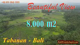 Beautiful Rice fields and Mountain View in Selemadeg Tabanan