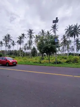 TANAH PINGGIR LINTAS SUMATERA 2 HEKTAR SIDOMULYO