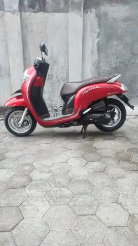 Honda scoopy 2020