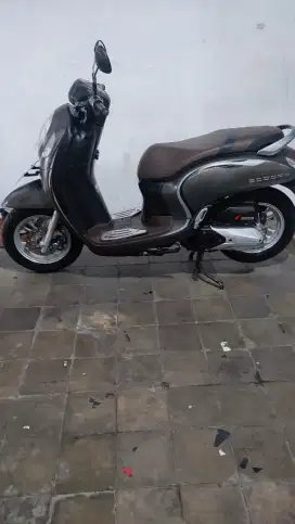 Honda scoopy 2022