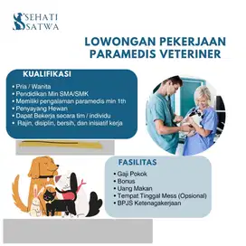 Lowongan Kerja Paramedik/ Groomer Klinik Hewan