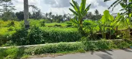 DIJUAL SAWAH SUBUR, PERAIRAN BAGUS, STRATEGIS, DEKAT KAMPUS UII, SHM