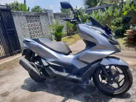 Pcx silver 2024 istimewa