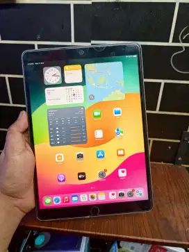 iPad Pro 256Gb Mulus Normal Siap Pakai