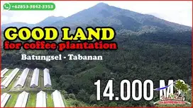 14,000 m2 Semi Kotak View Gunung dan Hutan di Pupuan