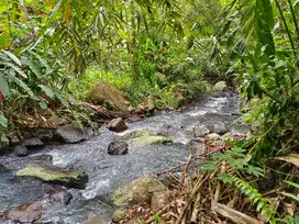 jual tanah kebun view gunung, sawah los sungai di tabanan bali