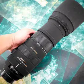 Sigma 150-500mm f5-6.3 APO DG OS HSM Tele For Nikon. Mulus Sekali.