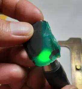 BACAN DOKO MAJIKO SUPER SIAP OLAH