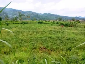 TANAH MURAH JLN PROVINSI CIMAUNG BANJARAN