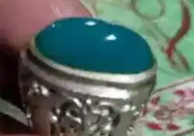 Bacan bluishgreen