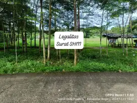 Di jual tanah kebun murah dan sangat strategis