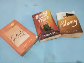 Tere liye novel original