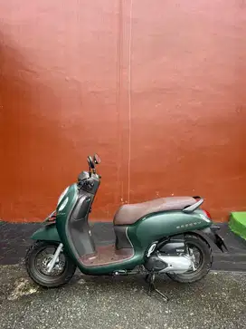 Scoopy Prestige 2023