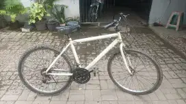 Sepeda taiwan normal siap gowes