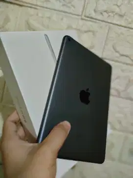 iPad mini 5 + accesories