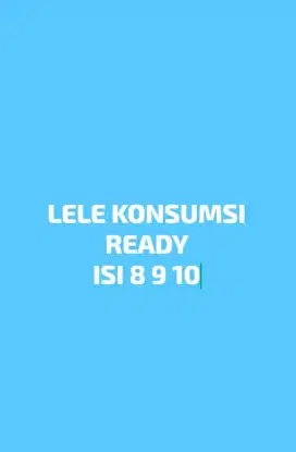 Lele konsumsi (isi 8 9 10 per kilo)