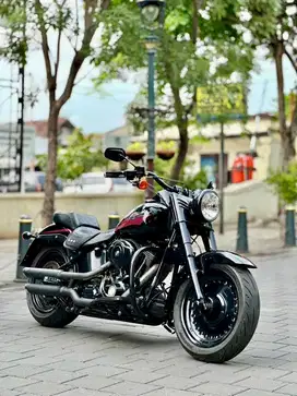 Harley davidson fatboy 2007