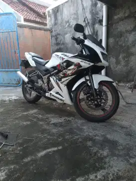 Ninja rr new 2013