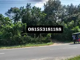 Tanah Luas + Murah Di 0 Jalan Raya Suranadi, Kec. Narmada,Lombok Barat