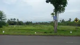 DIJUAL TANAH PEKARANGAN, STRATEGIS, TEPI JALAN ASPAL, DKAT BANDARA YIA