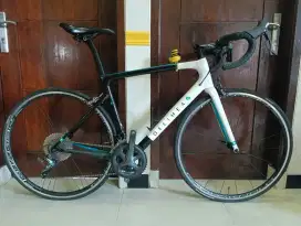 Roadbike Delihea Rest size 56