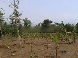 Tanah dekat pantai Cisolok Pelabuhan Ratu