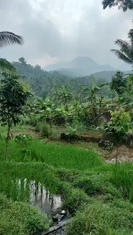 Dijual Murah Tanah  di Pandeglang view gunung Aseupan