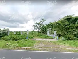 Tanah Sawah Luas 15.497 m2 di Pakisaji Malang, Nol Jalan Raya