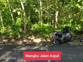 Jual Tanah murah mangku jalan raya di Goa Pindul Gunungkidul