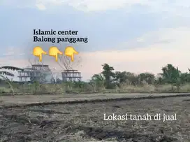 Tanah sawah termurah lokasi balong panggang gresik