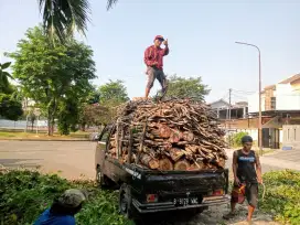 Jasa tebang pohon