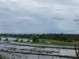 Tanah full view laut dan terasering sawah di Tabanan