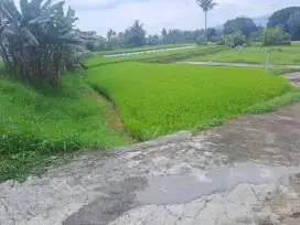 Jual Tanah kebun dan sawah