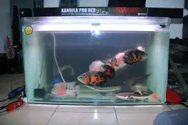 Aquarium full set dan isinya