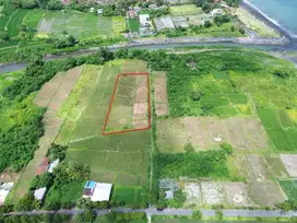 Dijual tanah komersil lokasi tulikup gianyar