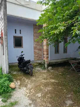 Dijual cpt BU rumah murah belakang KUD bungah