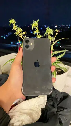 Iphone 11 (ibox)