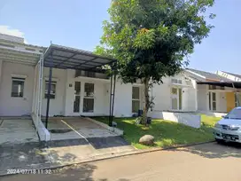 Sewa rumah forest  Hill B6.07 Citraland BSB MIJEN