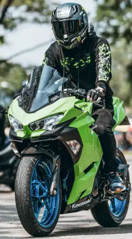 Kawasaki New Ninja 250