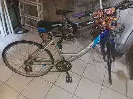 Sepeda wanita dewasa