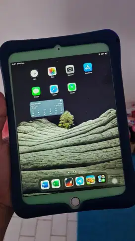 Ipad mini Gen 5