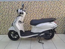 Yamaha Filano th 2024 dp 500