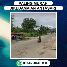 TANAH DIKEDAMAIAN PAHOMAN DJUAL MURAH BISA DICICIL