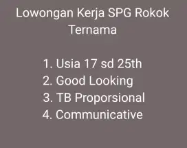 Lowongan SPG Rokok