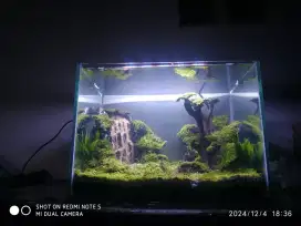 Aquascape aquarium air terjun pasir double